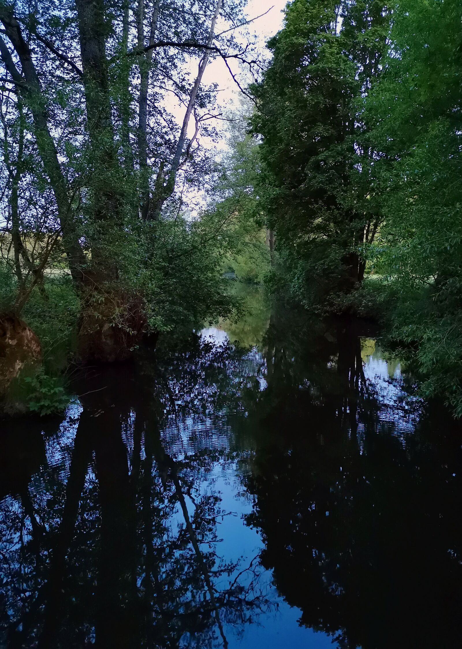 HUAWEI P30 sample photo. Water, trees, mirroring photography