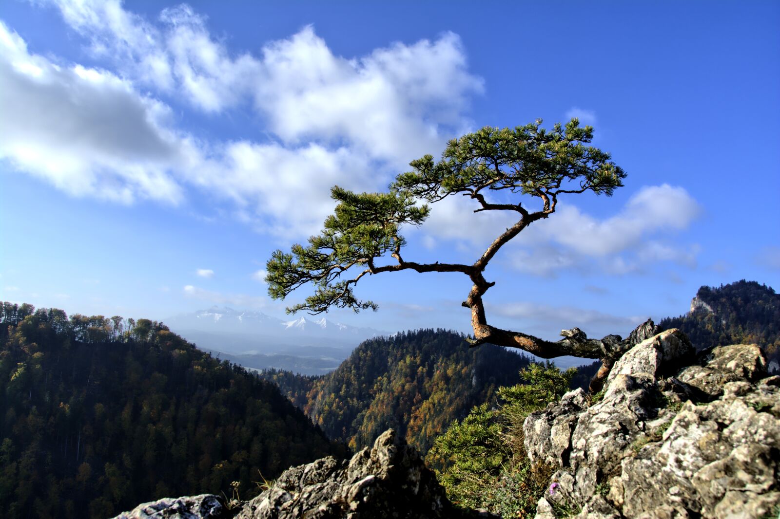 Nikon D7100 sample photo. Mountains, pieniny, landscape photography