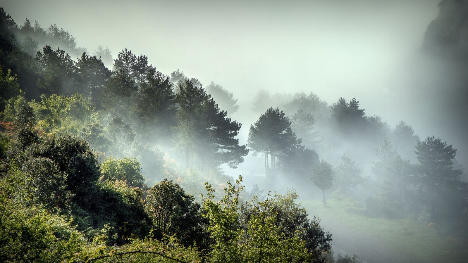 Sony a6000 sample photo. Fog, landscape, nature photography