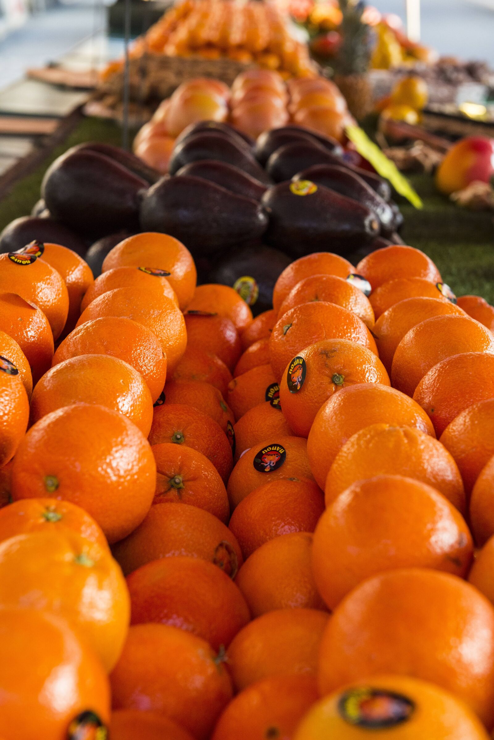 Nikon D800 sample photo. Orange, fruit, sun photography
