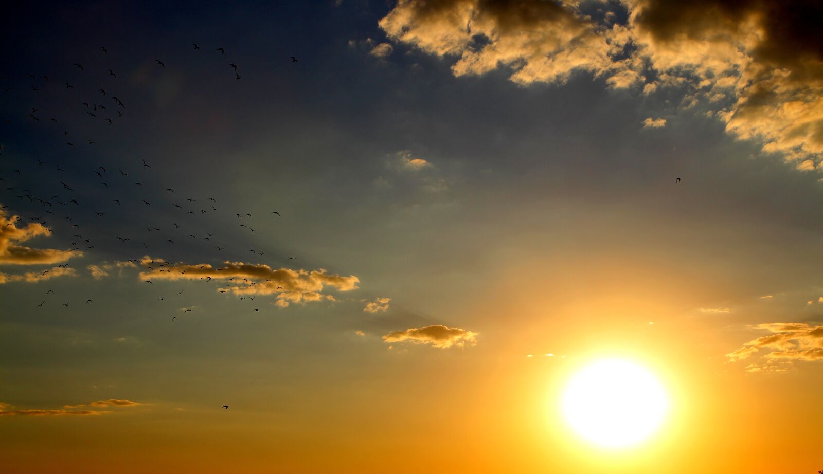 Canon EOS 700D (EOS Rebel T5i / EOS Kiss X7i) sample photo. Sunset, birds, cloud photography