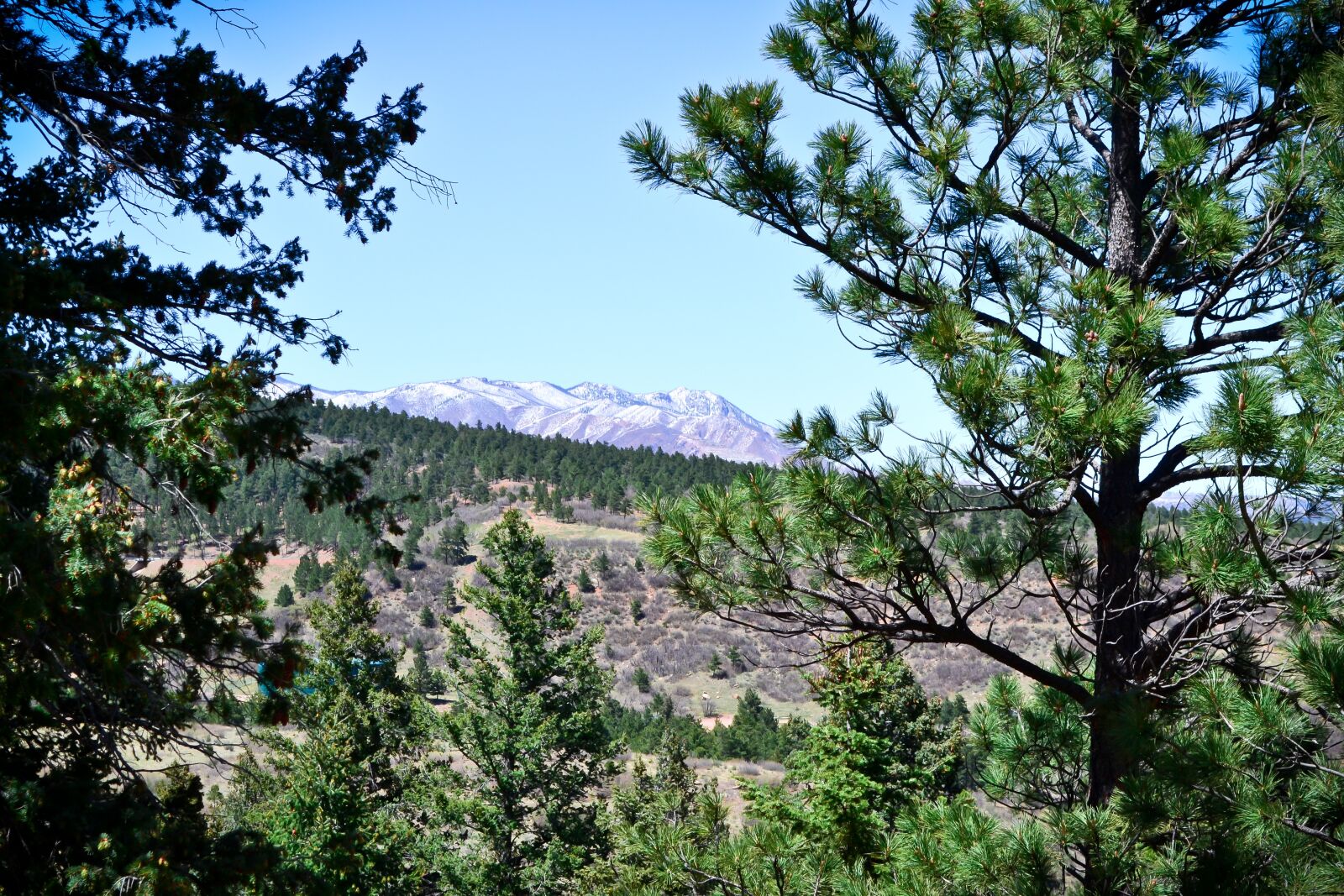 Nikon D3100 sample photo. Mountain, colorado, nature photography