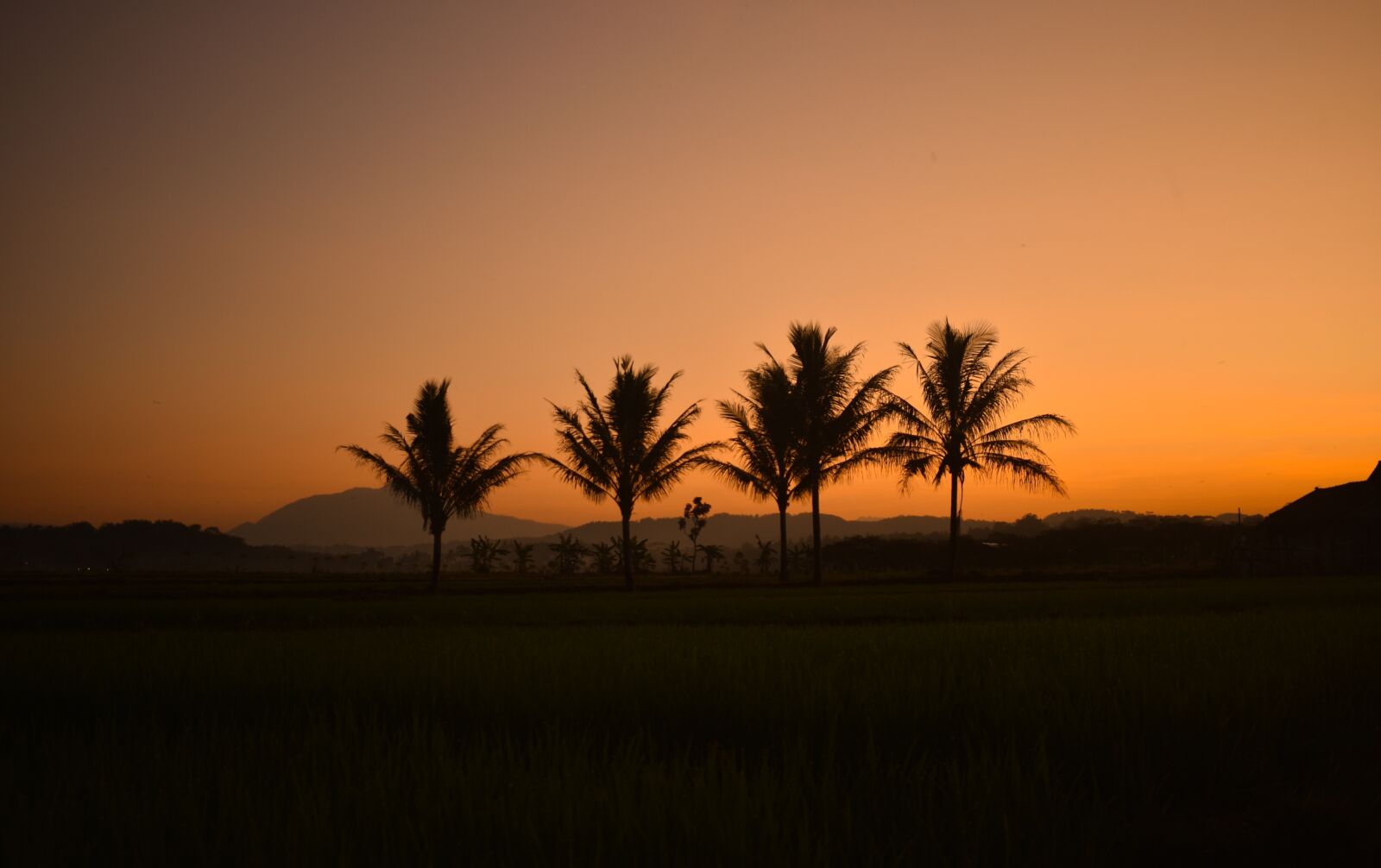 Nikon D3400 sample photo. Sunset, silhouette, landscape photography