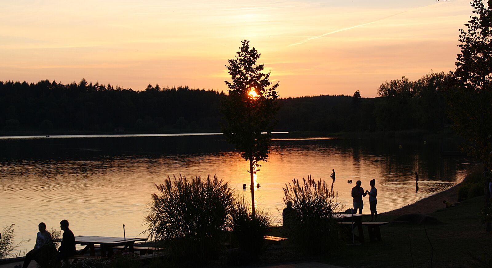 Canon EOS 1000D (EOS Digital Rebel XS / EOS Kiss F) sample photo. Summer evening, summer, lake photography
