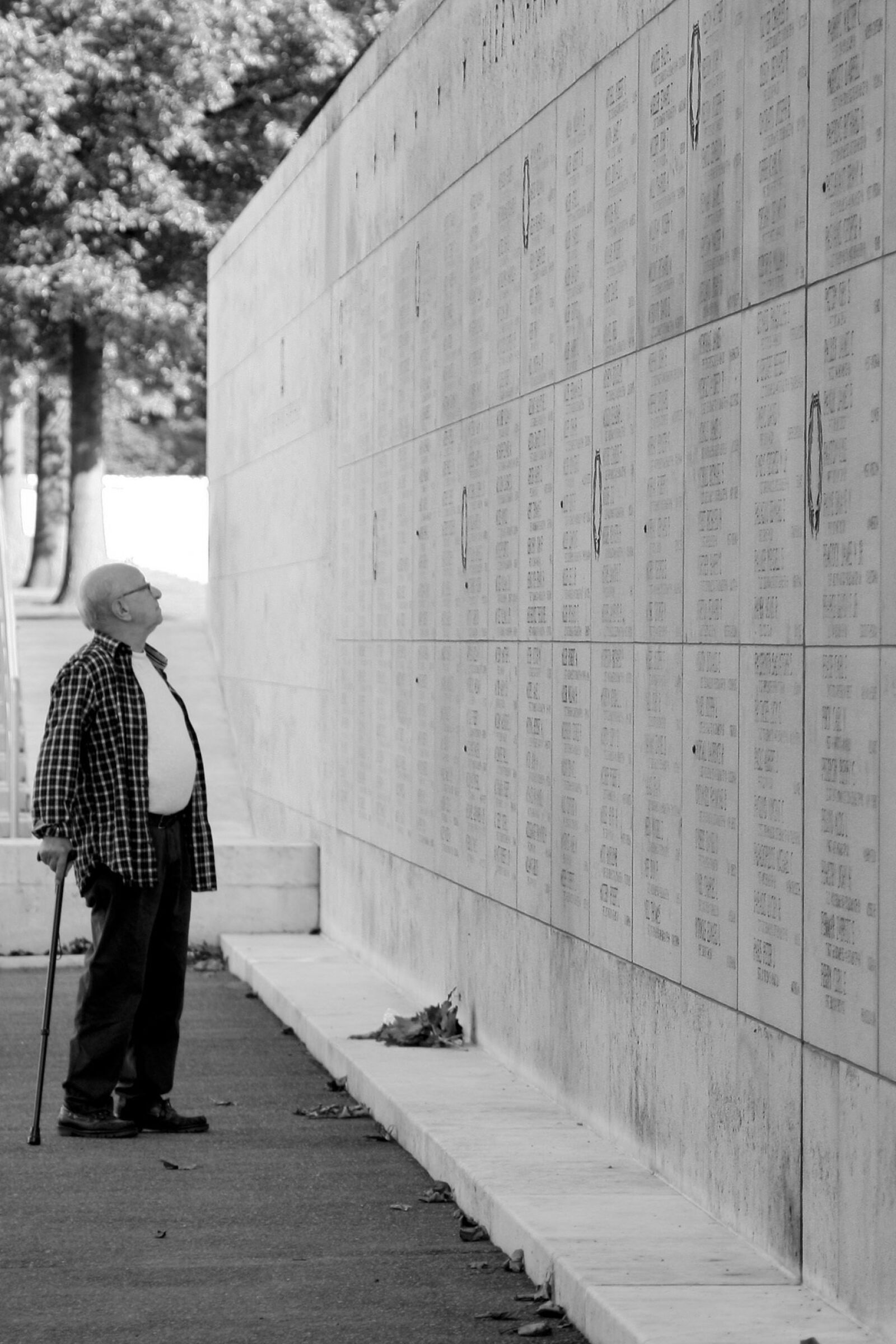 Canon EOS 40D + Canon EF 24-105mm F4L IS USM sample photo. Remembrance day, old, man photography