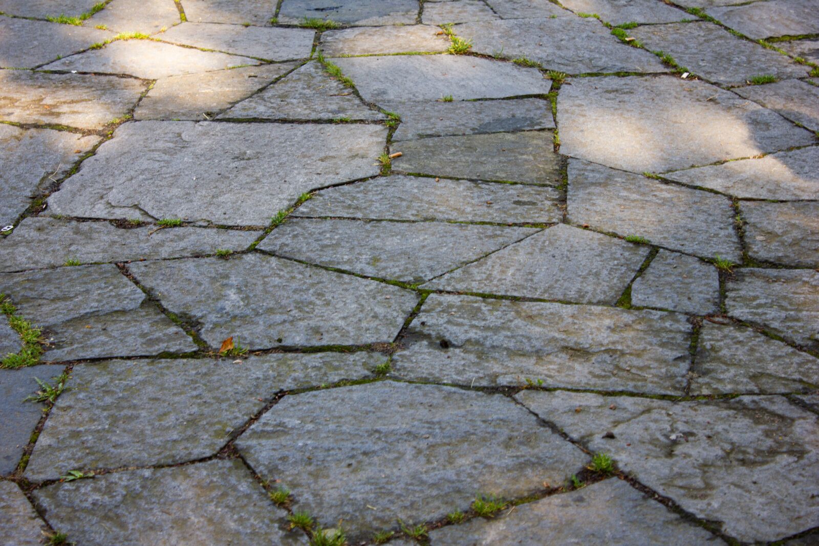 Canon EF-S 18-55mm F3.5-5.6 IS sample photo. Flagstones, stone, road photography
