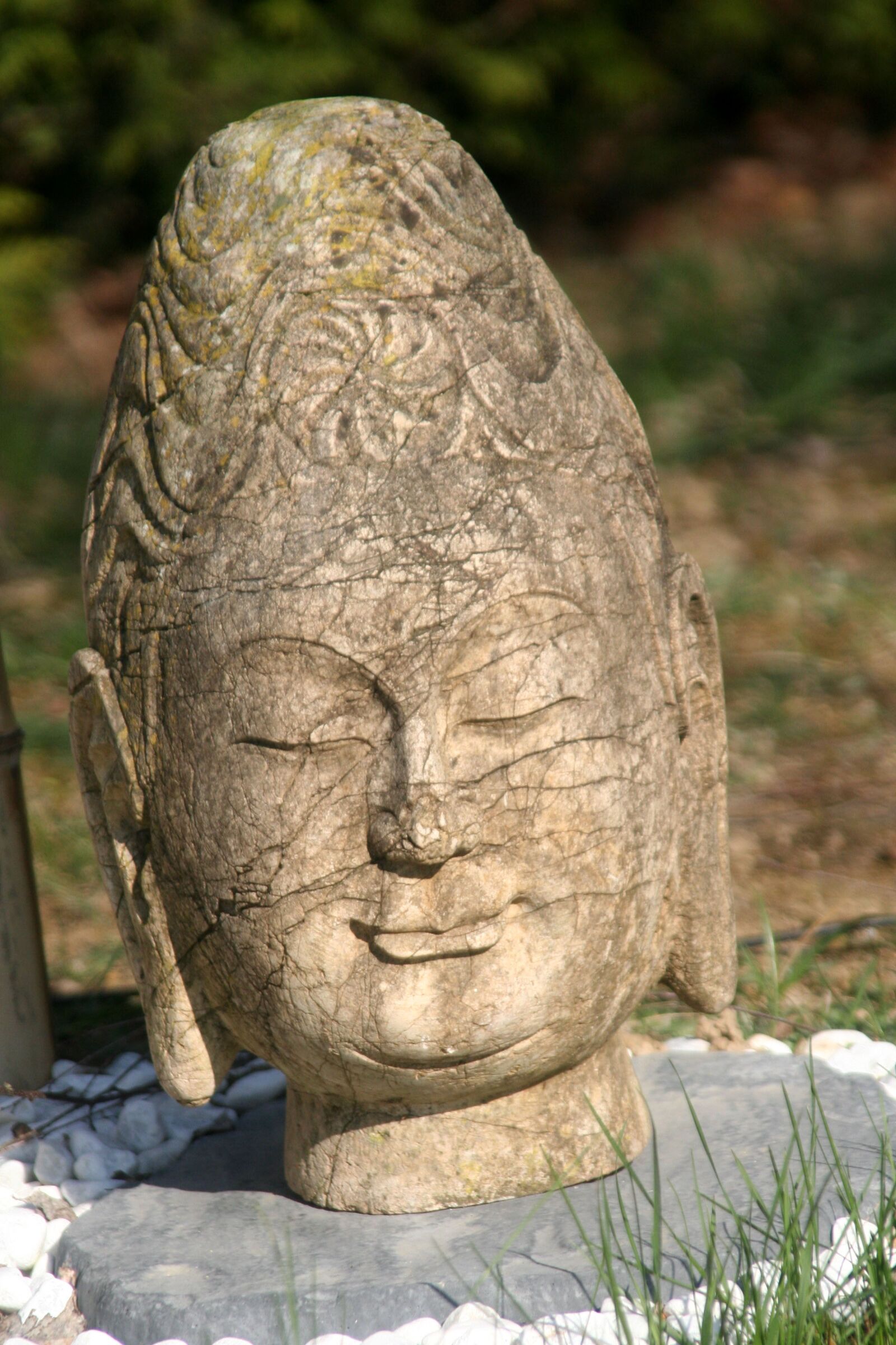Canon EOS 350D (EOS Digital Rebel XT / EOS Kiss Digital N) sample photo. Head, buddha, calm photography