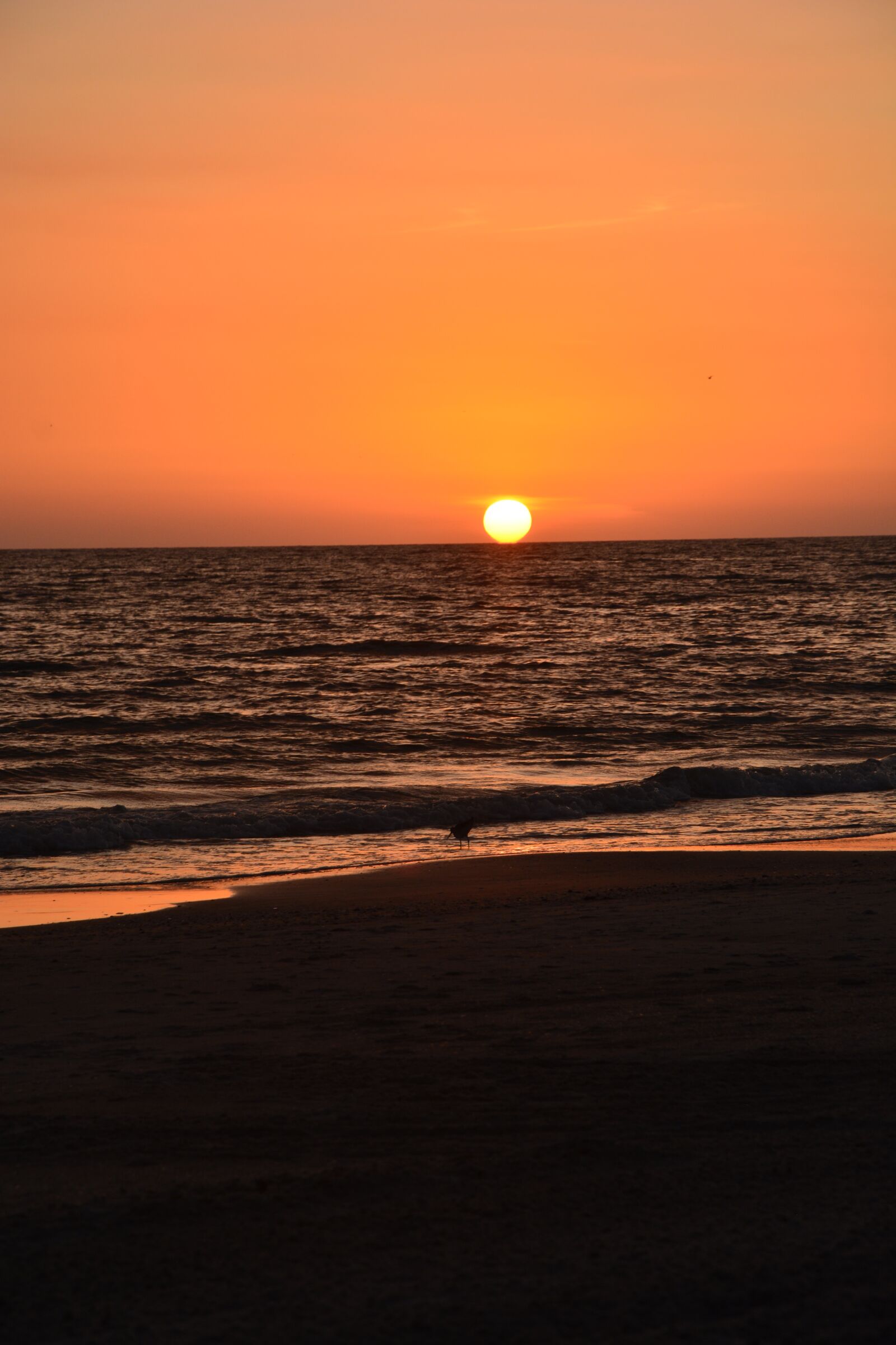Nikon D5200 sample photo. Sunset, beach, florida photography