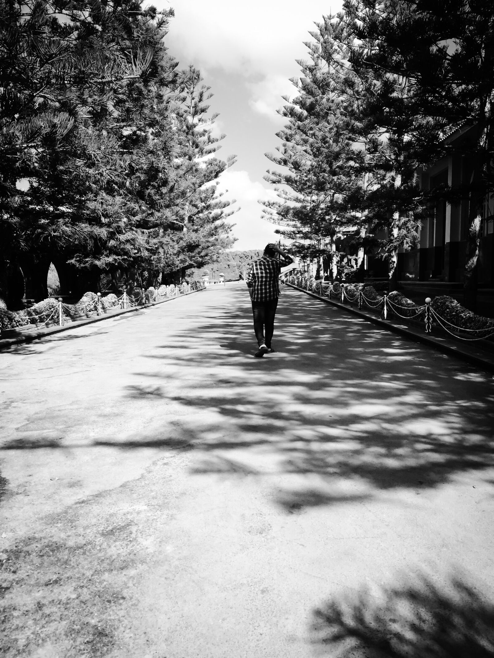 iPhone 6 back camera 4.15mm f/2.2 sample photo. Road, b, w, alone photography