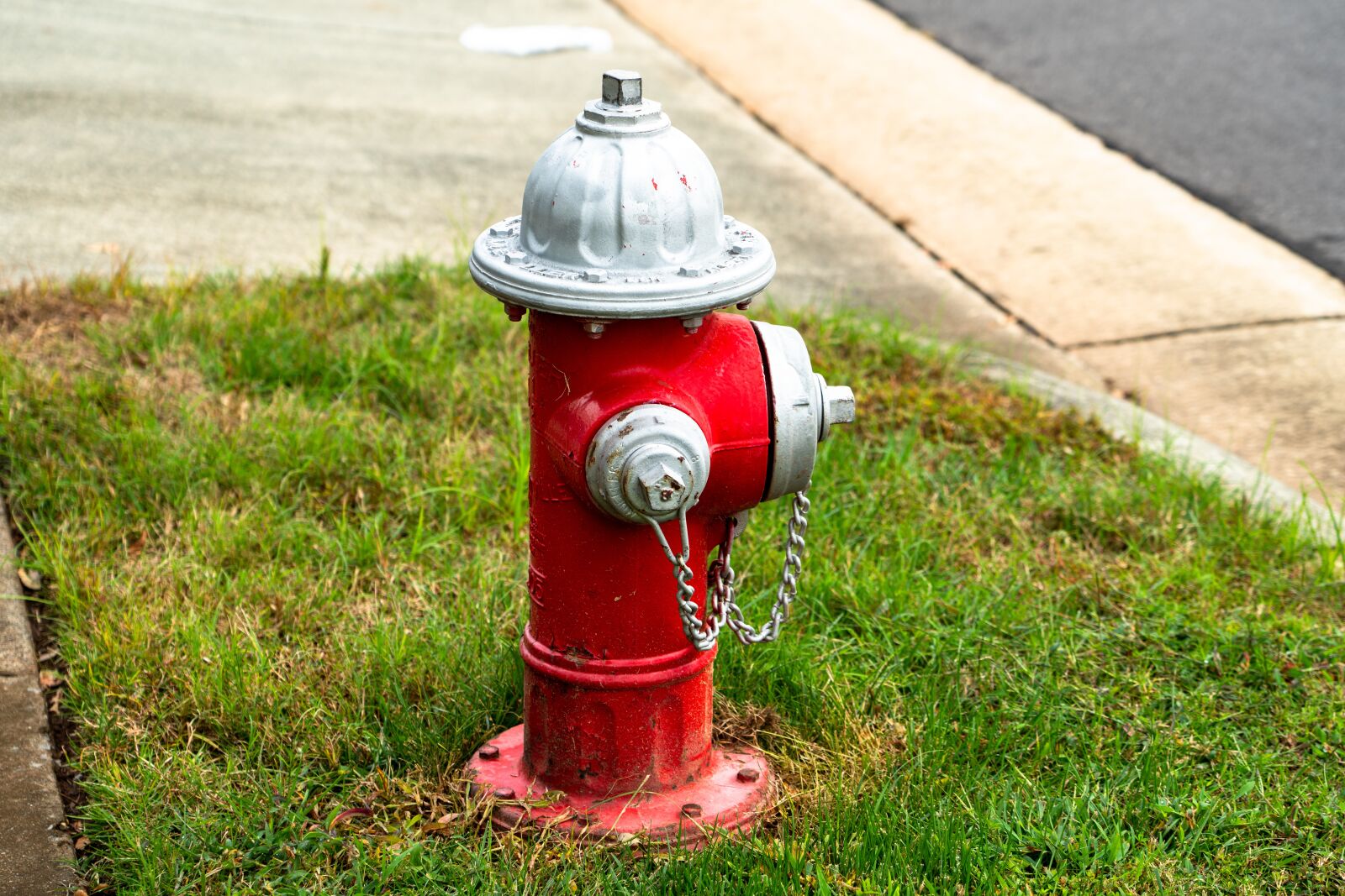 Sony FE 24-105mm F4 G OSS sample photo. Hydrant, fire, water photography