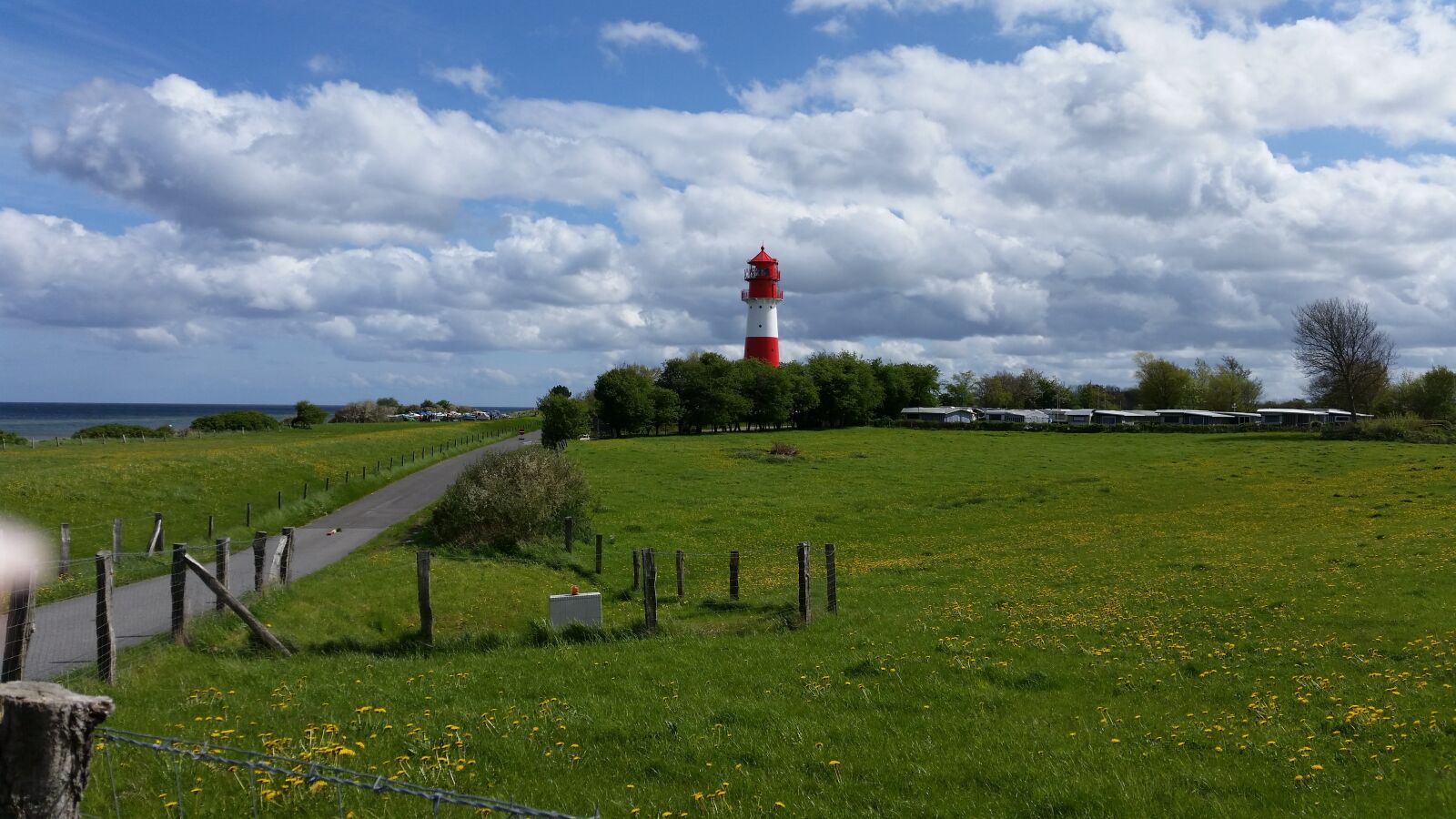 Samsung Galaxy S5 sample photo. Grass, nature, panorama photography