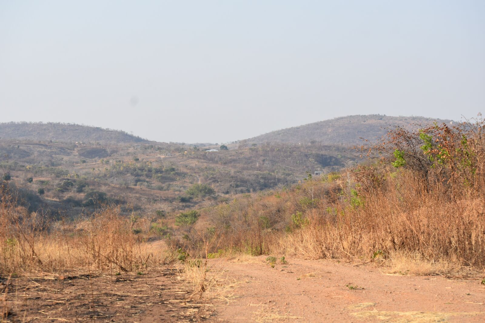 Nikon D7200 sample photo. Mountain, landscape, grass photography
