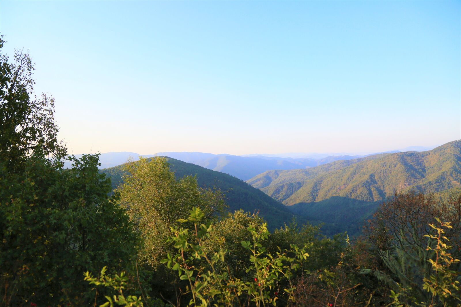 Canon EF 24-105mm F4L IS USM sample photo. Landscape, forest, nature photography