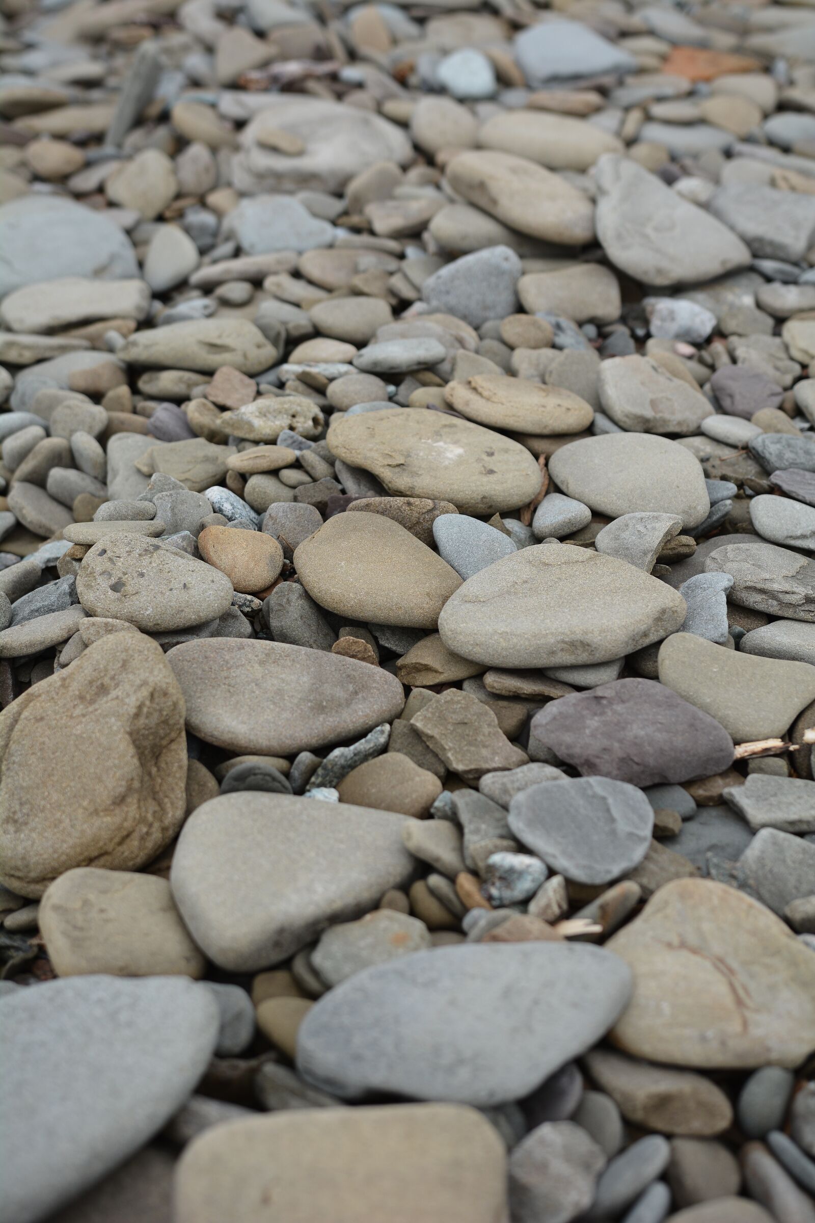 Nikon D7100 sample photo. Ocean, rocks, stones photography