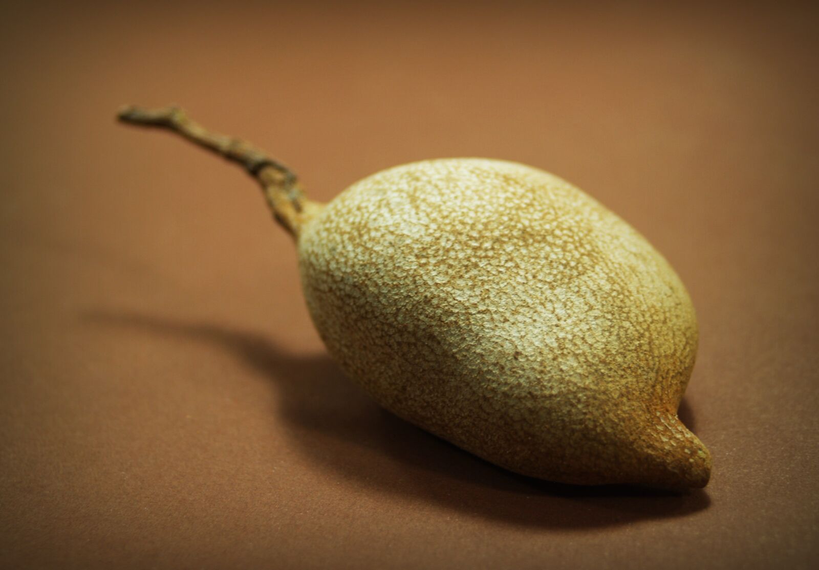 Olympus E-300 (EVOLT E-300) sample photo. Tamarind, isolated, ripe photography