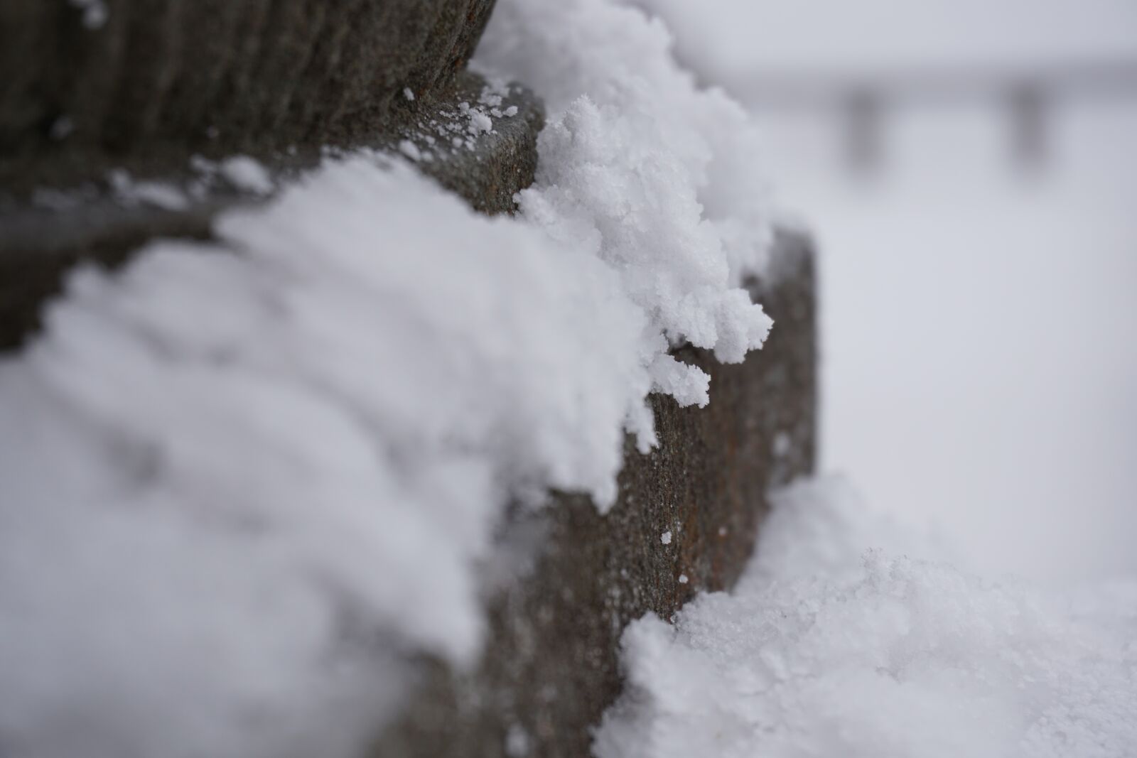 Sony a6000 sample photo. Snow, winter photography