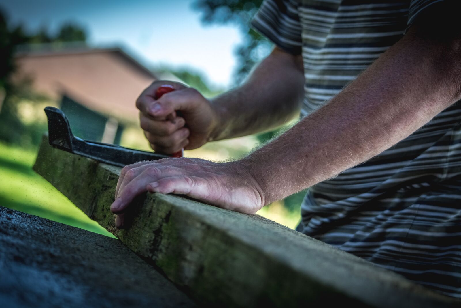 Nikon D5200 sample photo. Man, woodworker, wood photography