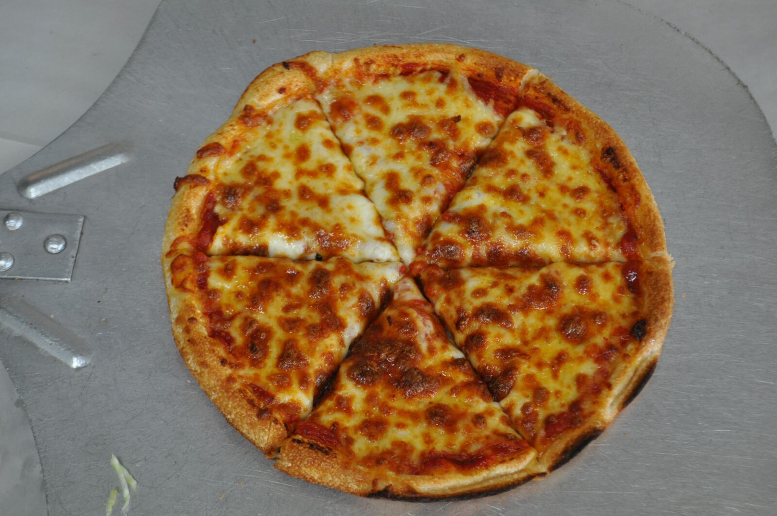 Nikon D5000 sample photo. Pizza, plane pizza, pizzas photography