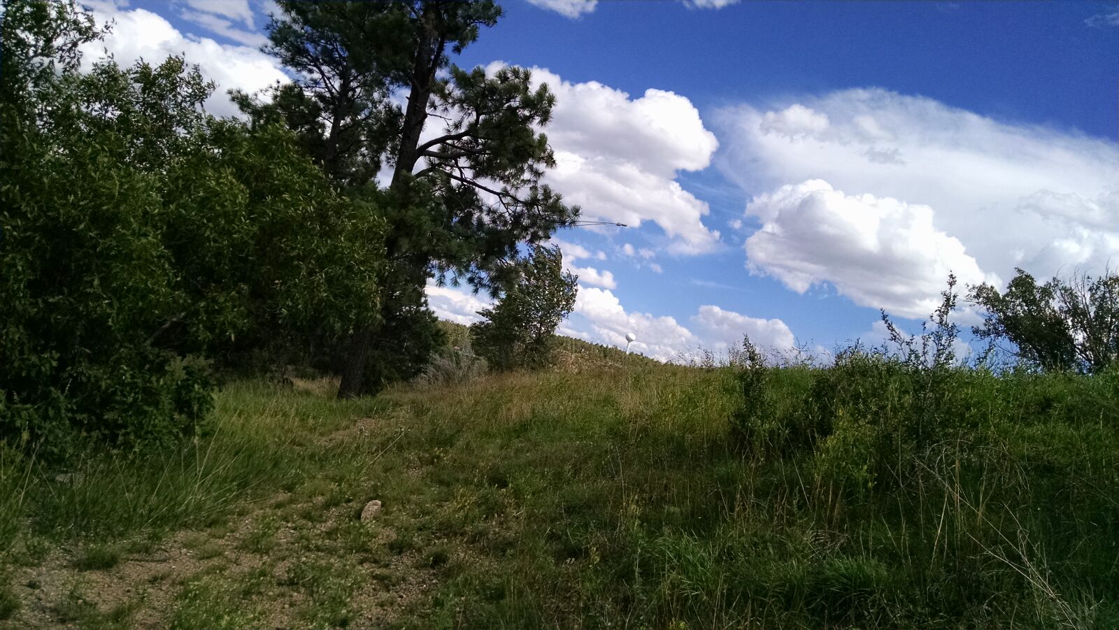 Motorola XT1080 sample photo