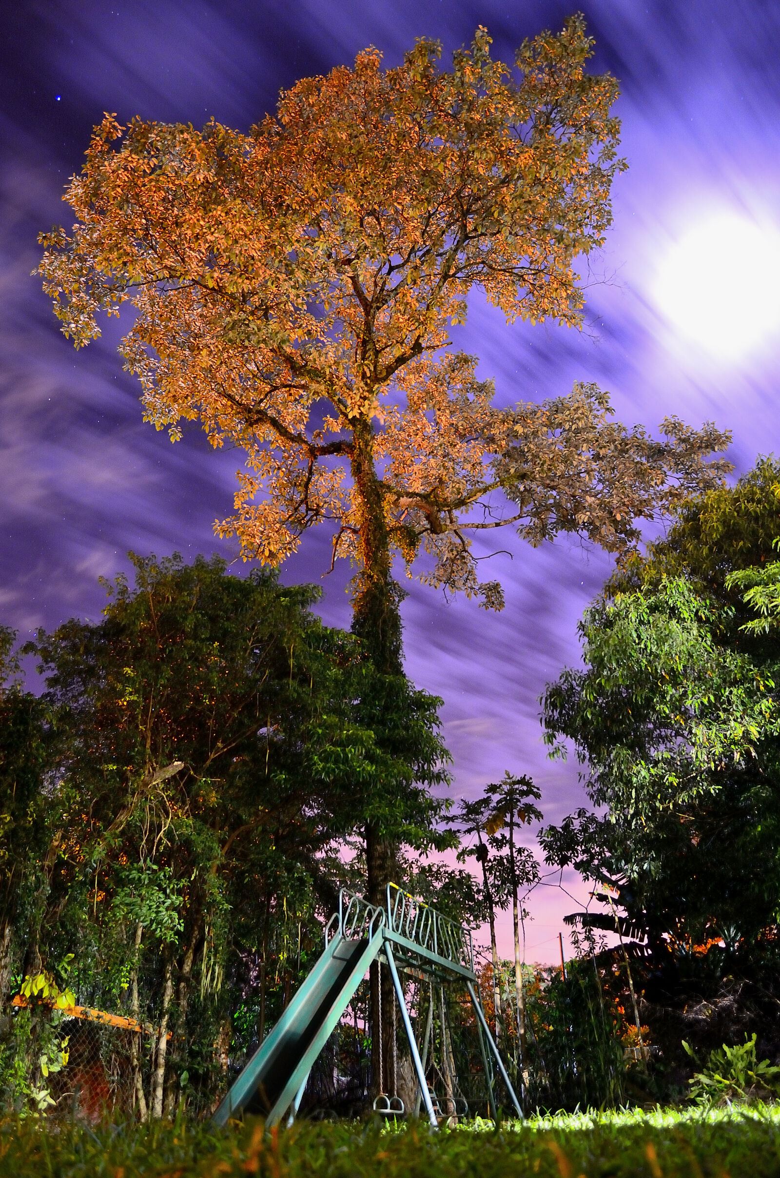 Nikon D5100 sample photo