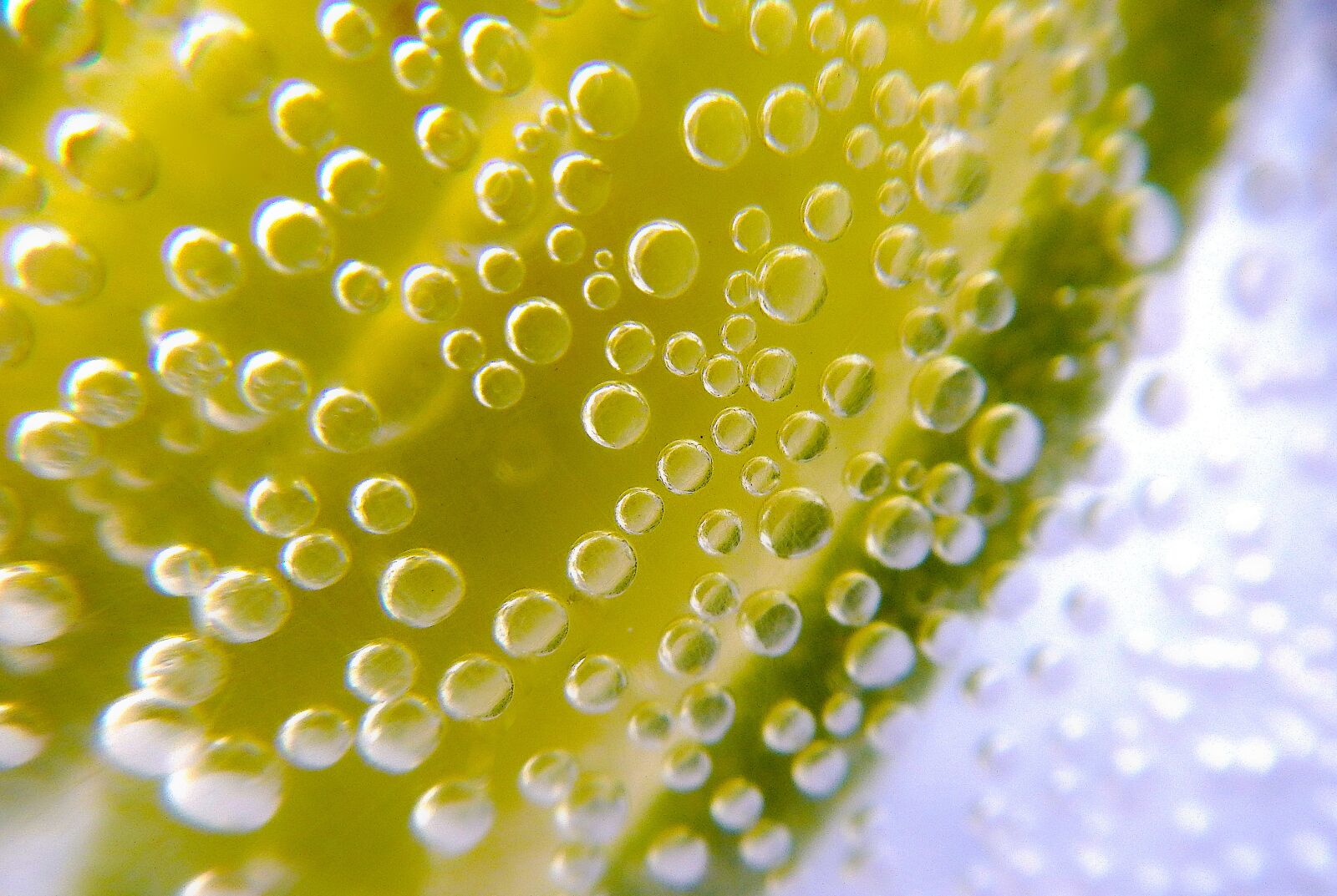 Nikon Coolpix AW110 sample photo. Lemon, soda, bubbles photography