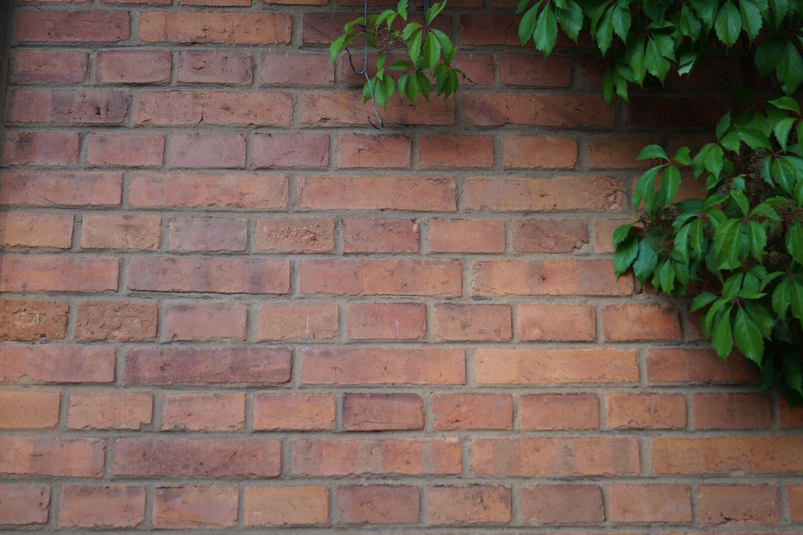 Sony DT 18-55mm F3.5-5.6 SAM II sample photo. Wall, stone wall, walls photography