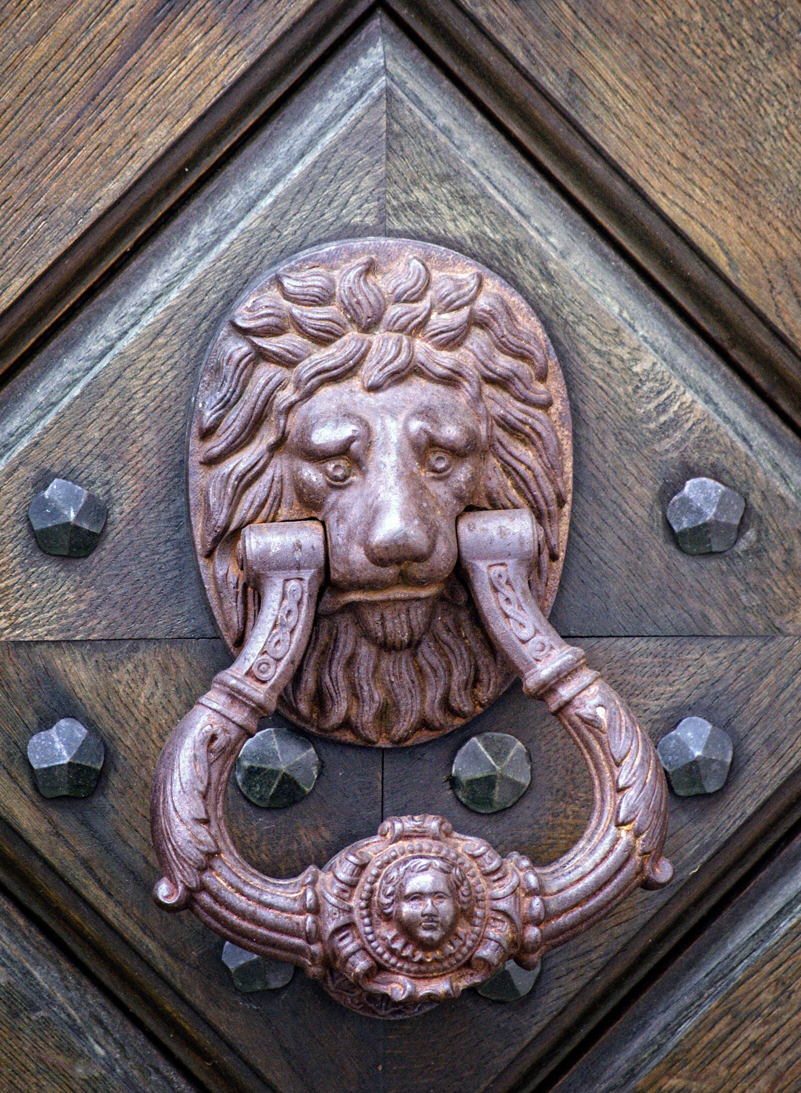 55.0-200.0mm f/4.0-f/5.6 sample photo. Doorknocker, call waiting, metal photography