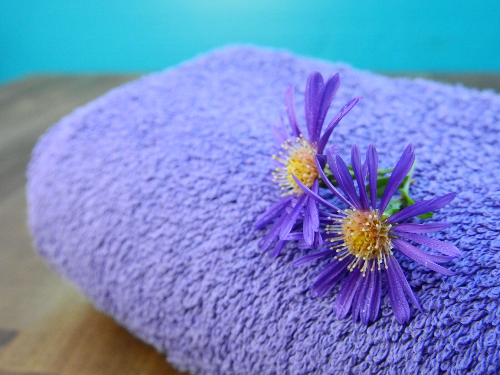Nikon Coolpix P900 sample photo. Towel, fabric, terry photography
