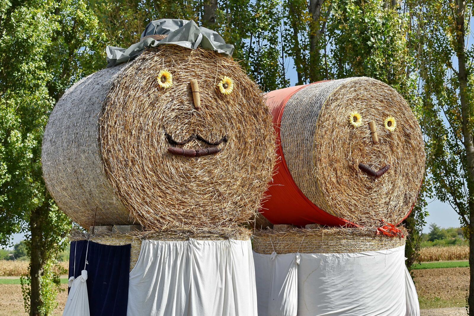 Nikon D5500 sample photo. Armor, hay, nature, straw photography