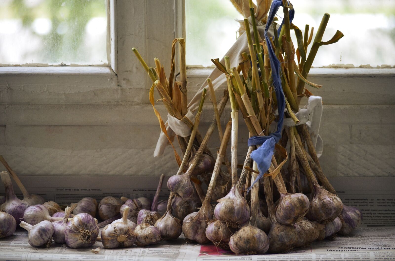 Nikon D5100 sample photo. Garlic, comfort, harvest photography