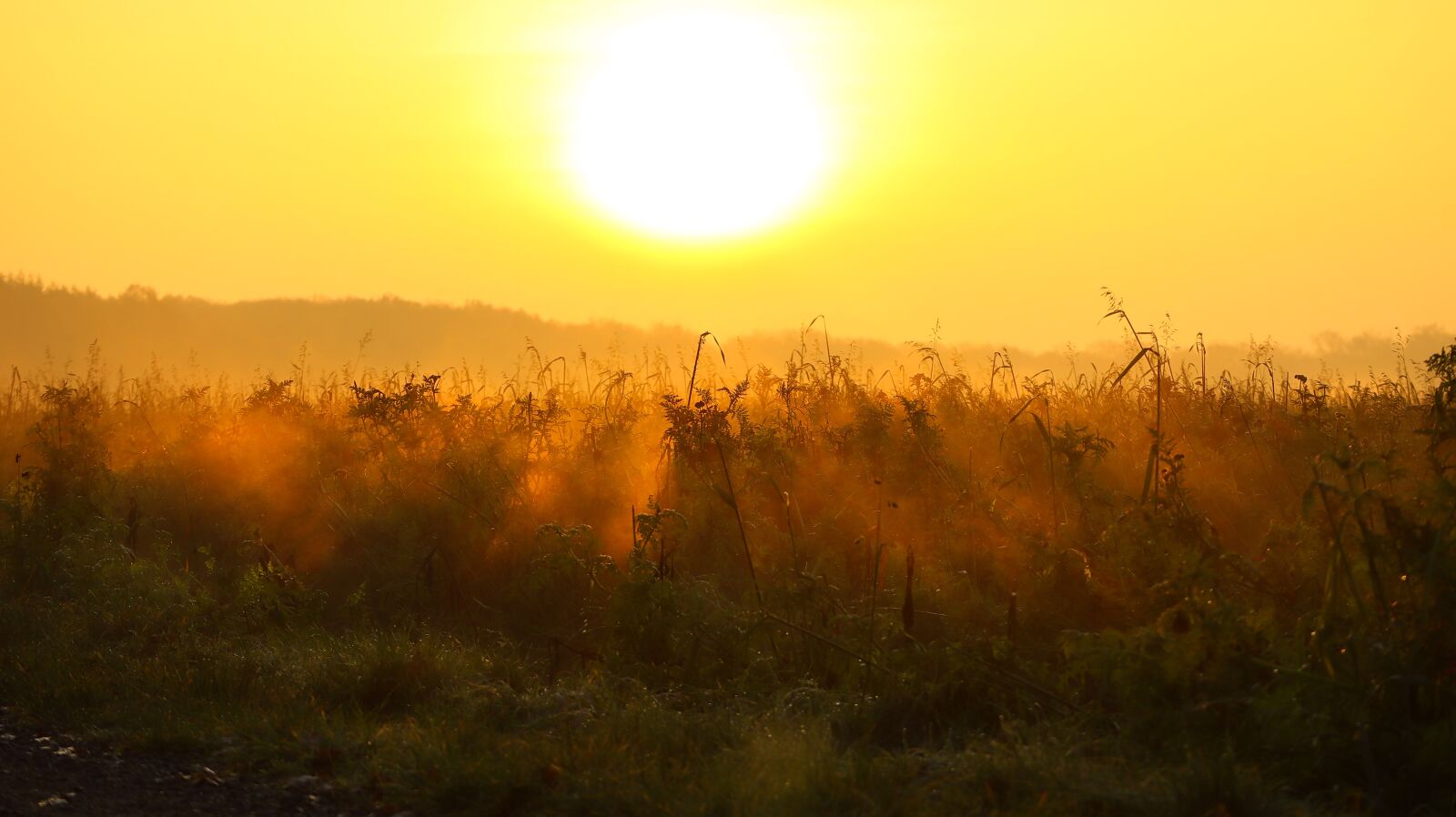 Canon EOS M50 (EOS Kiss M) sample photo. Landscape, water, sunrise photography