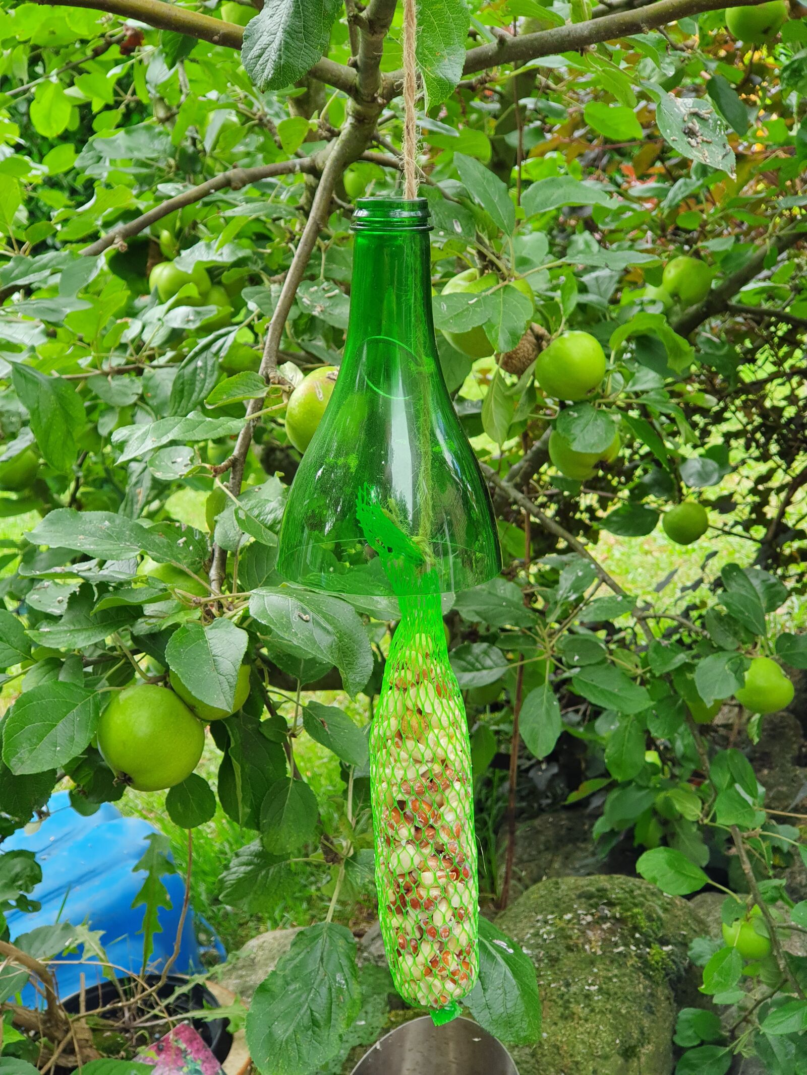 Samsung Galaxy S10 sample photo. Bird, food, bottle photography