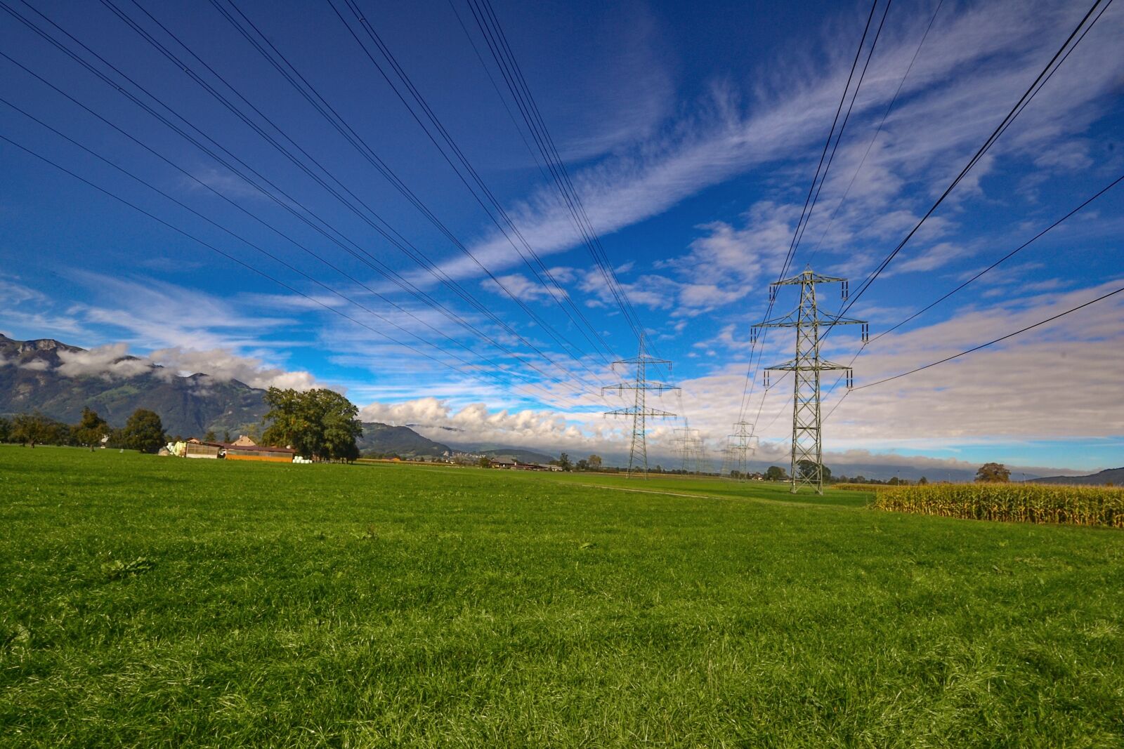 Nikon D3100 sample photo. Power line, electricity, reinforce photography