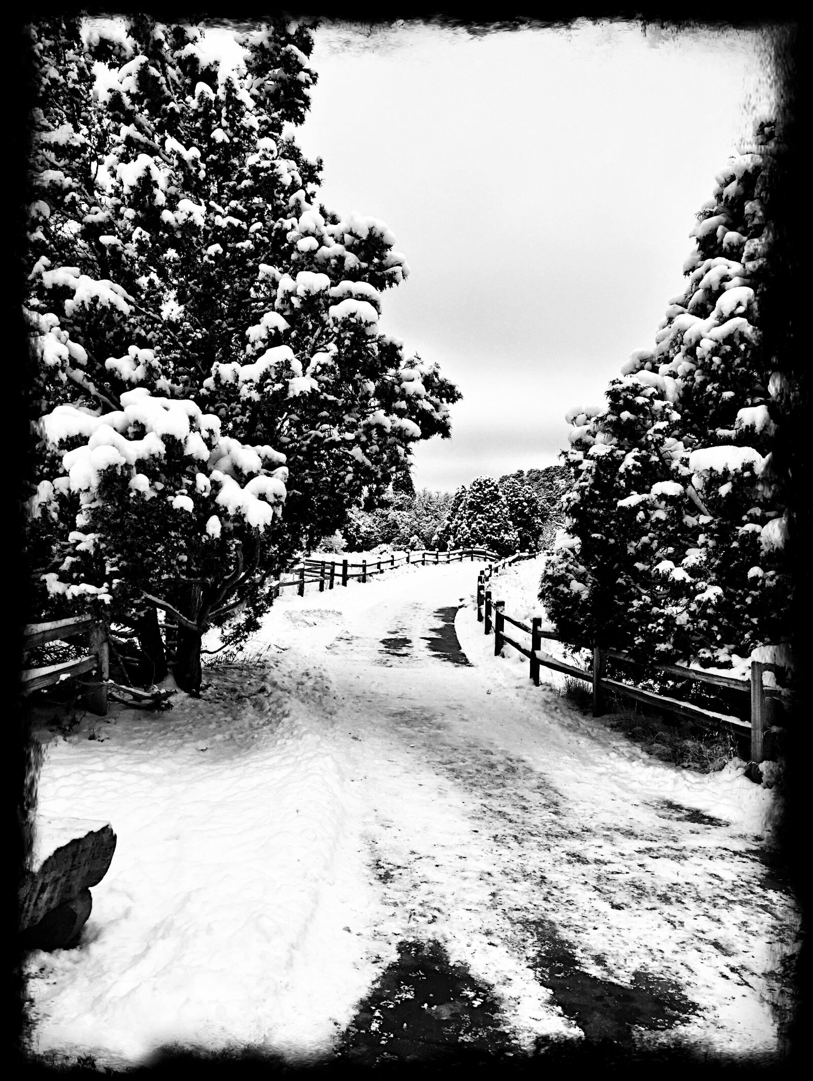 iPhone 6 back camera 4.15mm f/2.2 sample photo. Art, black, and, white photography