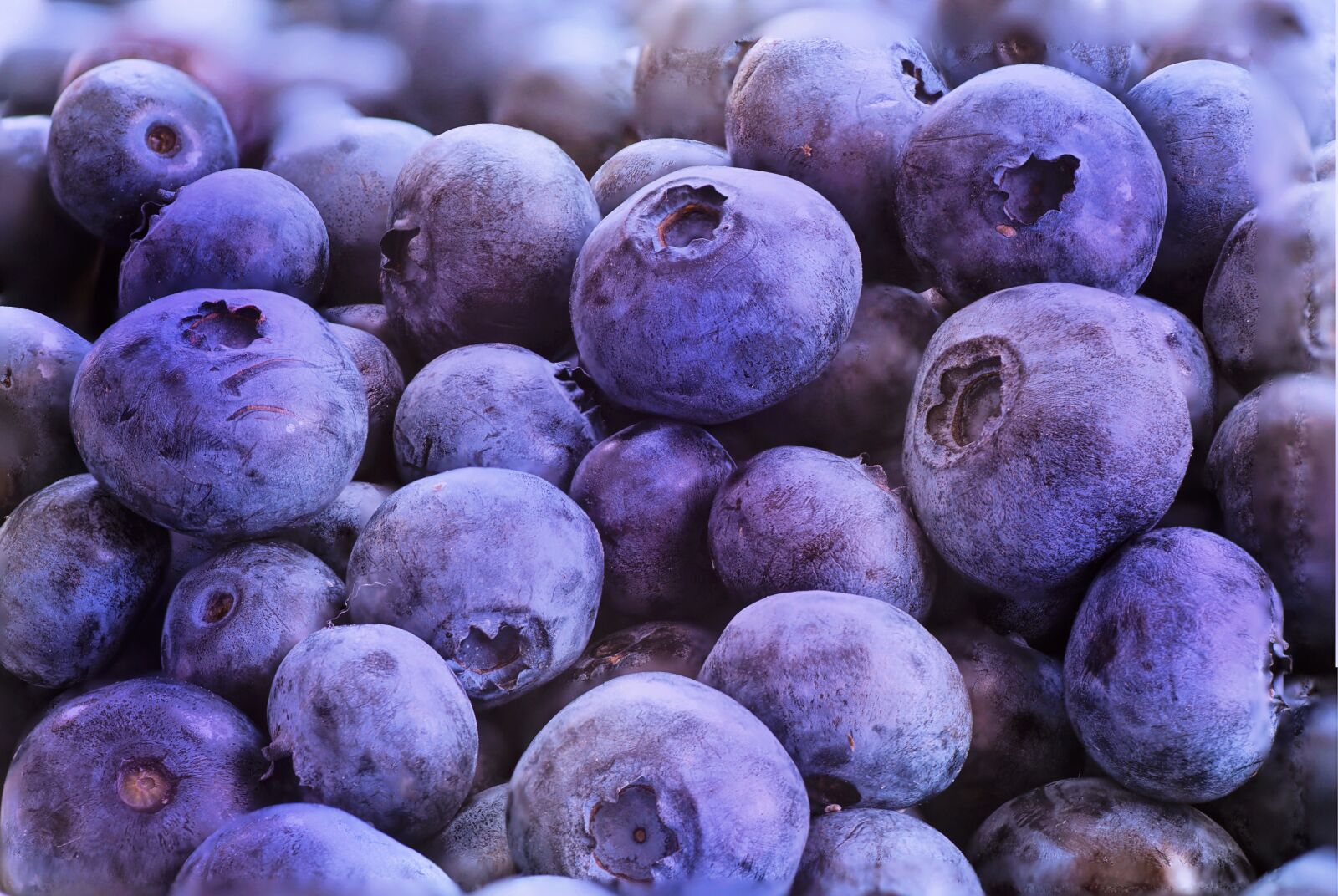 Canon EOS 5D Mark III sample photo. Blueberries, macro, fruit photography