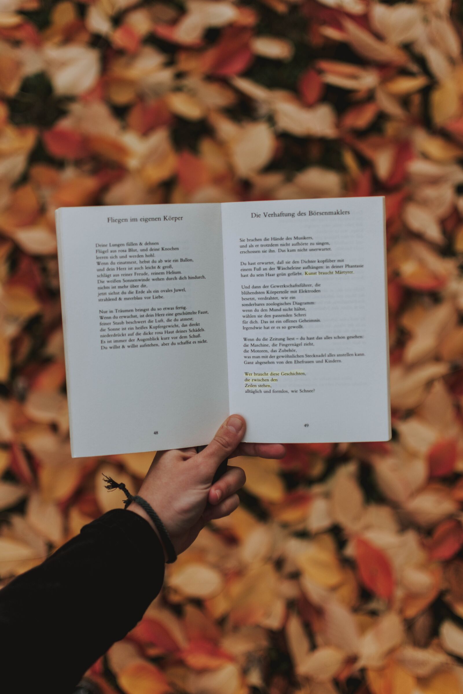 Nikon D5200 sample photo. Autumn, leaves, book photography