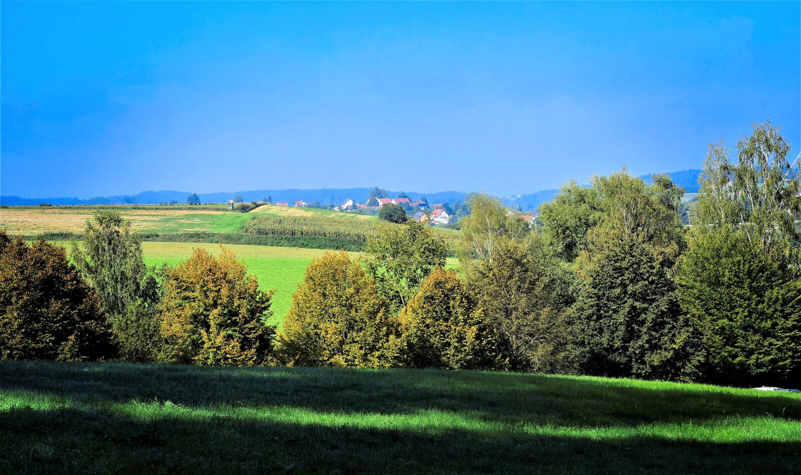 Nikon D7200 sample photo. Autumn, landscape, sky photography