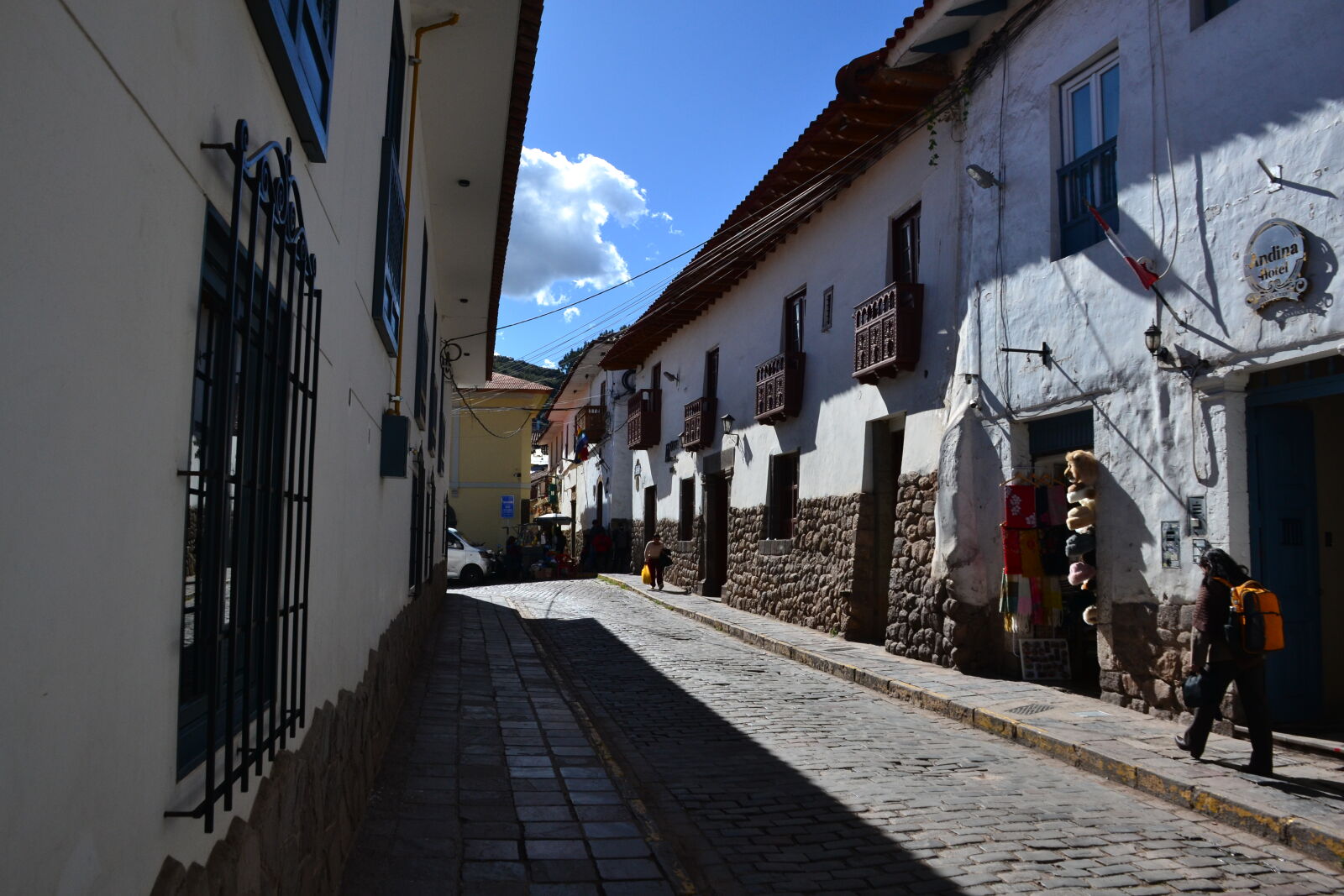 Nikon D3100 sample photo