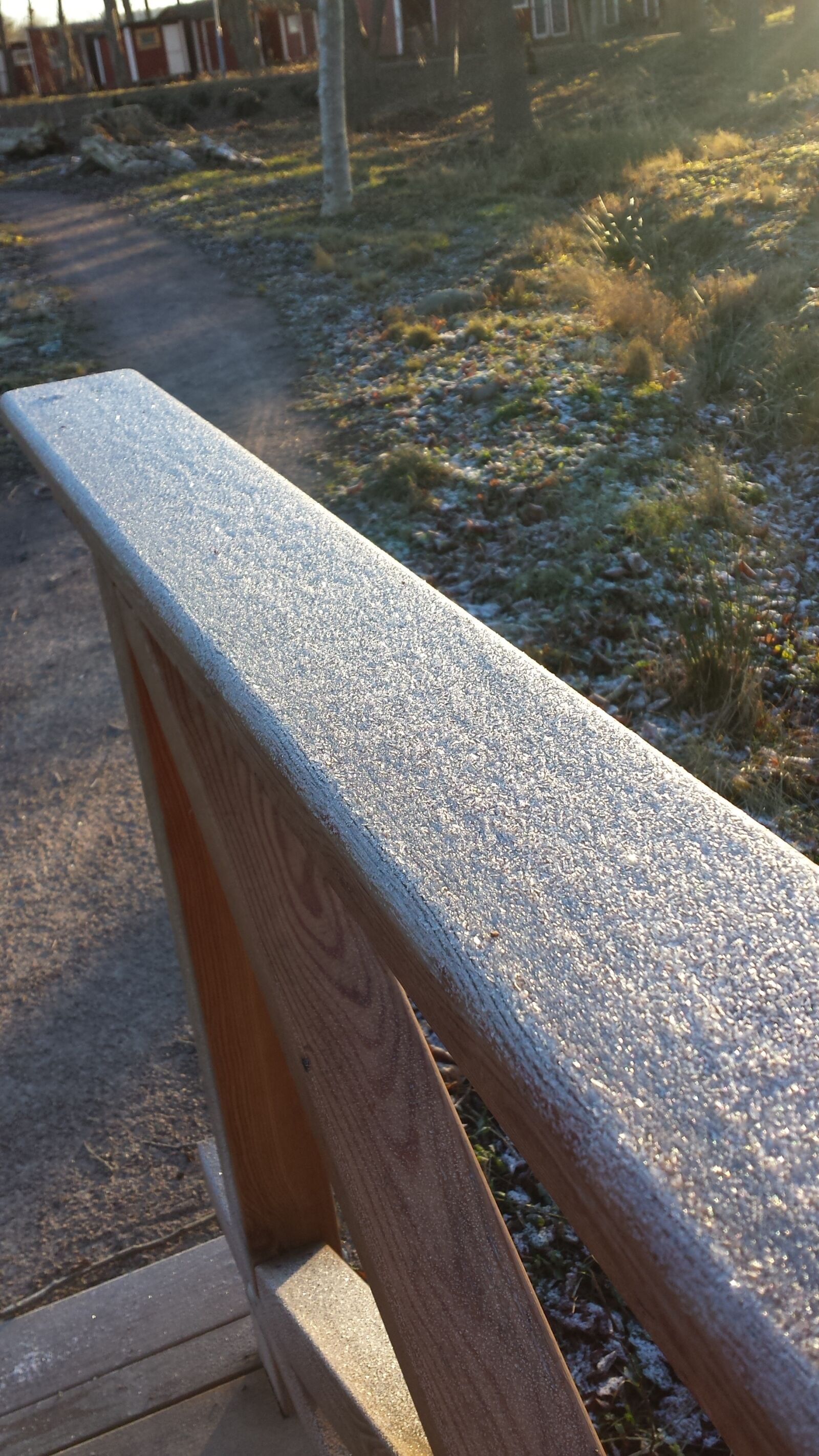 Samsung Galaxy S4 sample photo. November, winter, fresh snow photography