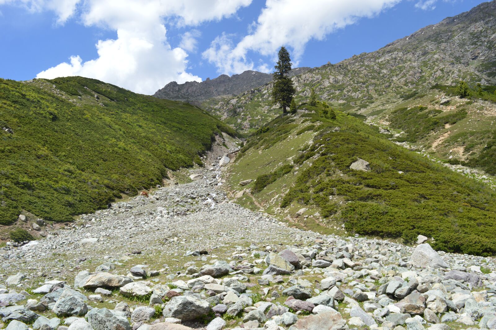 Nikon D3200 sample photo. Mountains, pakistan, kumrat photography
