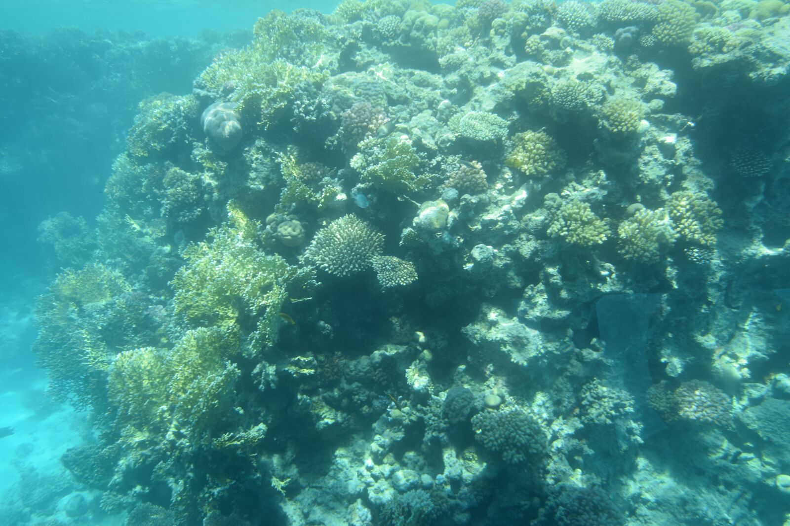 Nikon D5300 sample photo. Eygpt, trip, august 2017 photography