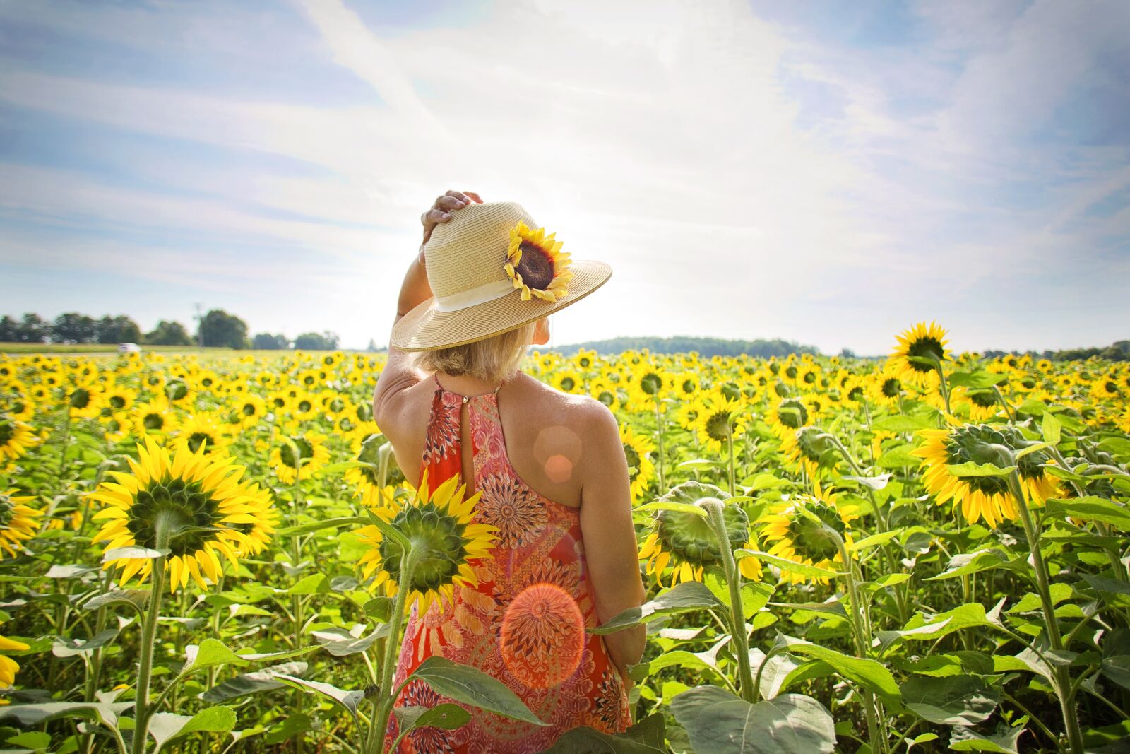 Canon EOS 5D Mark III sample photo. Sunflowers, field, woman photography