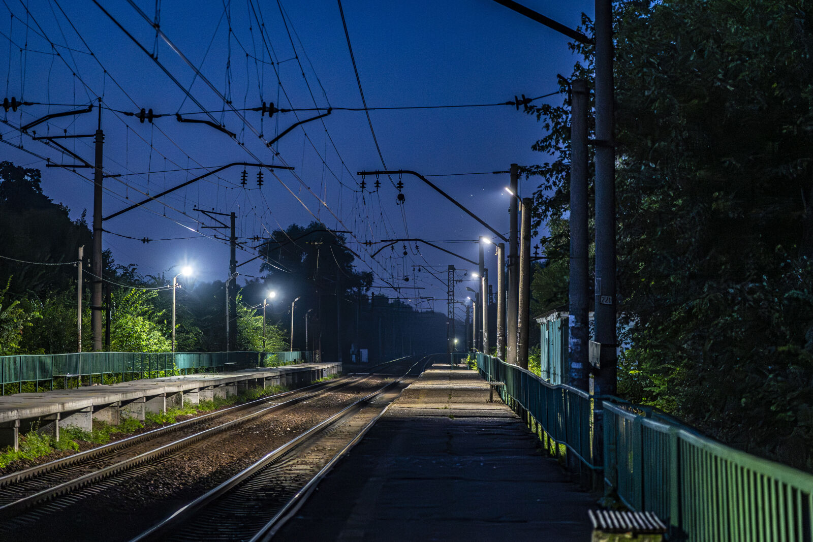 Sony a7 III + Sony FE 24-105mm F4 G OSS sample photo