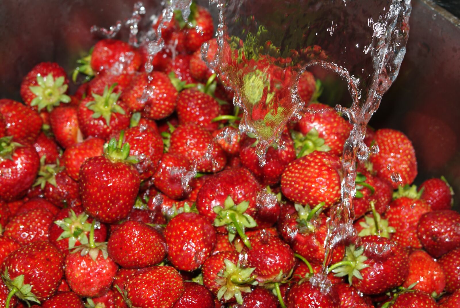 Sony Alpha DSLR-A200 sample photo. Strawberries, water, strawberry photography
