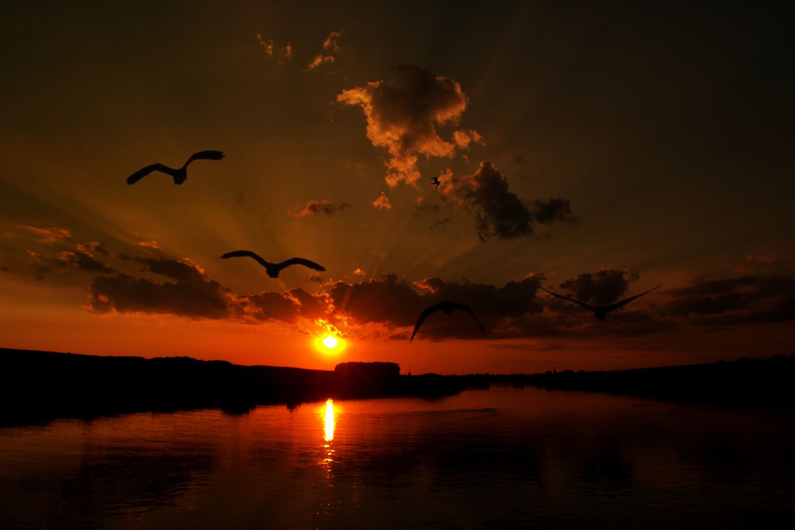 Canon EOS 700D (EOS Rebel T5i / EOS Kiss X7i) sample photo. Sunset, cloud, birds photography