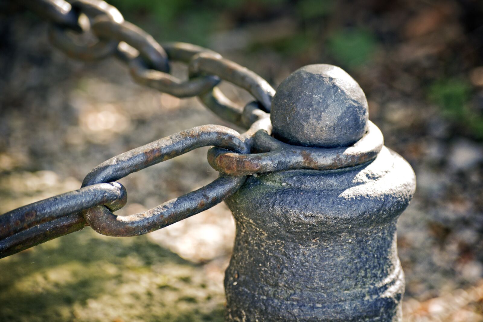 55.0-200.0mm f/4.0-f/5.6 sample photo. Fixing, post, chain photography