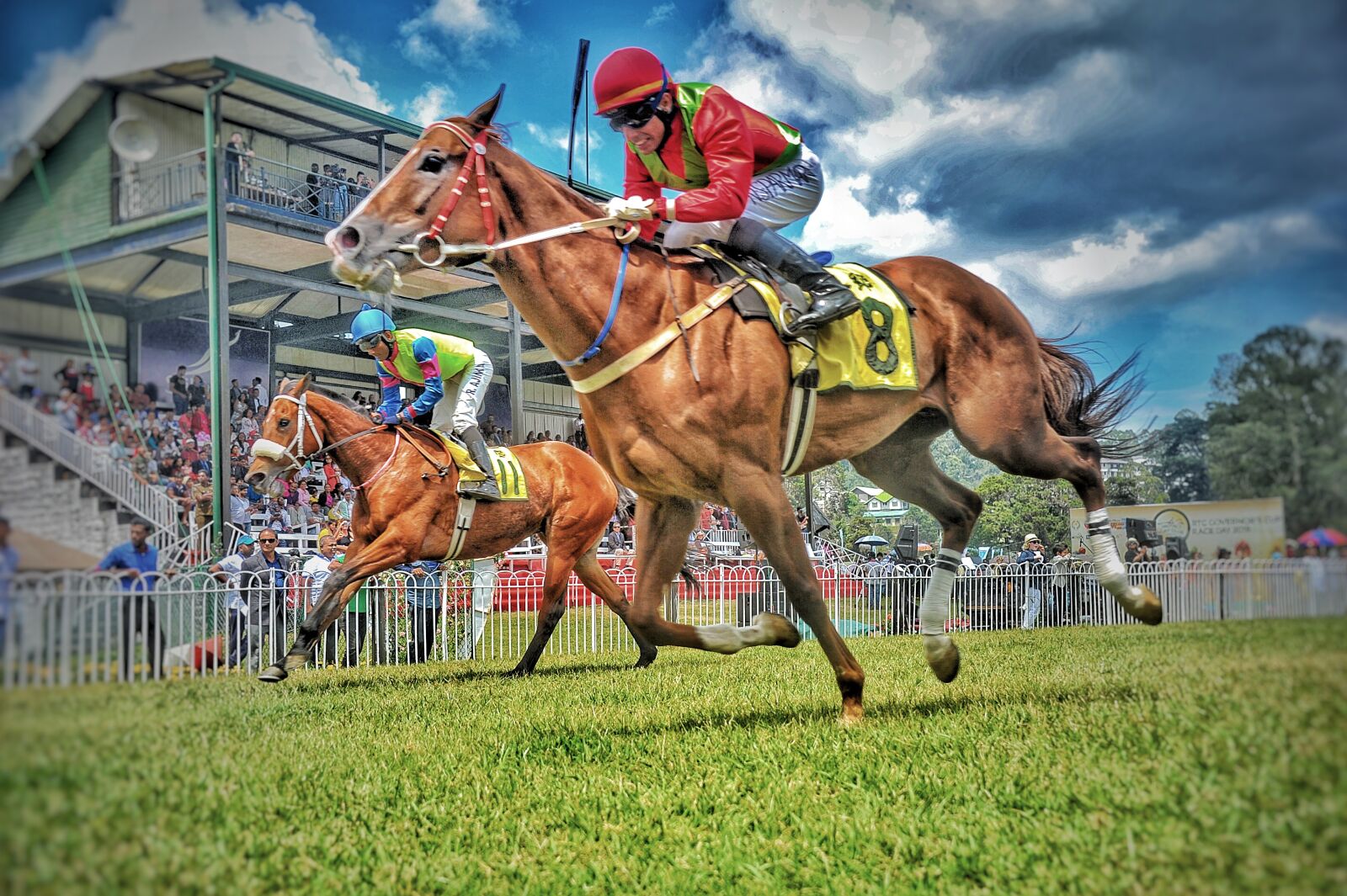 Nikon D3S sample photo. Race, equestrian, sport photography