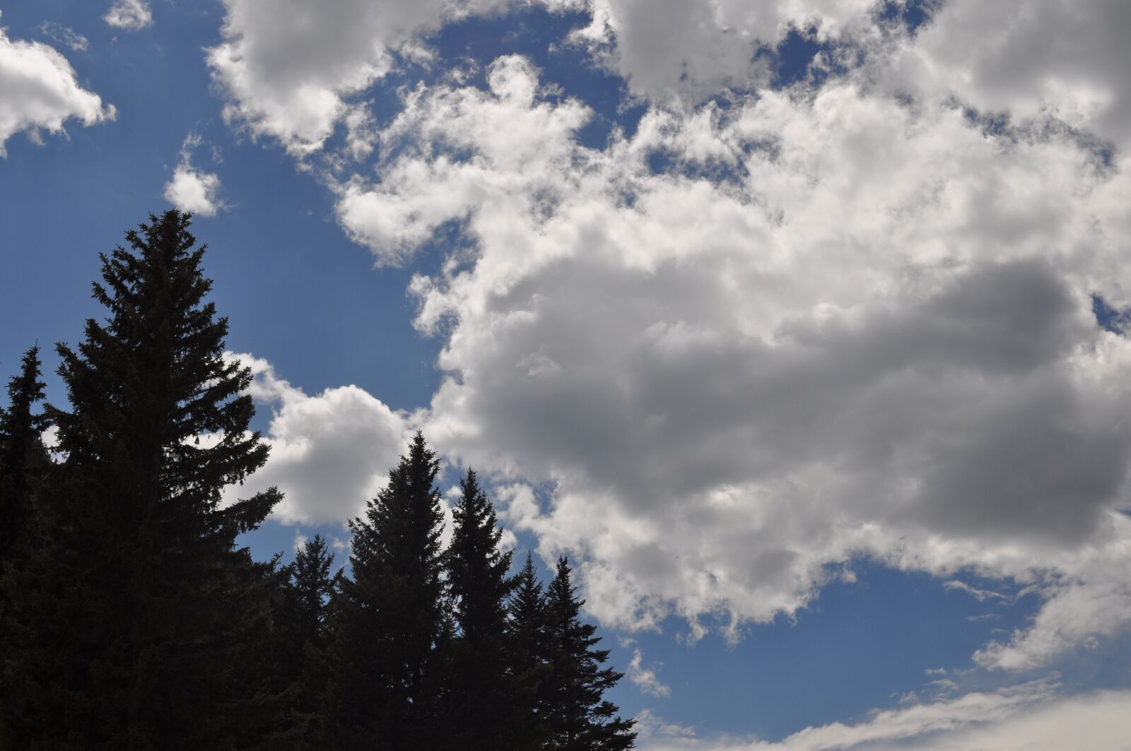 Nikon D5000 sample photo. Clouds, trees, nature photography