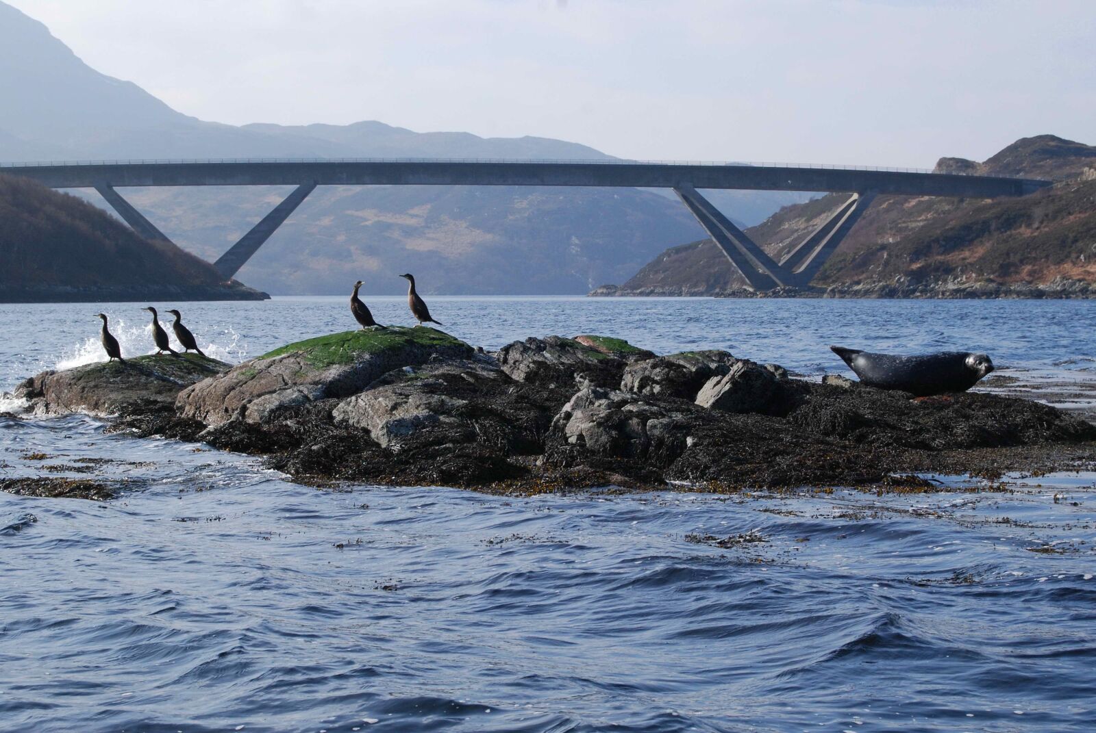 Nikon D40X sample photo. Scotland, bridge, highlands and photography