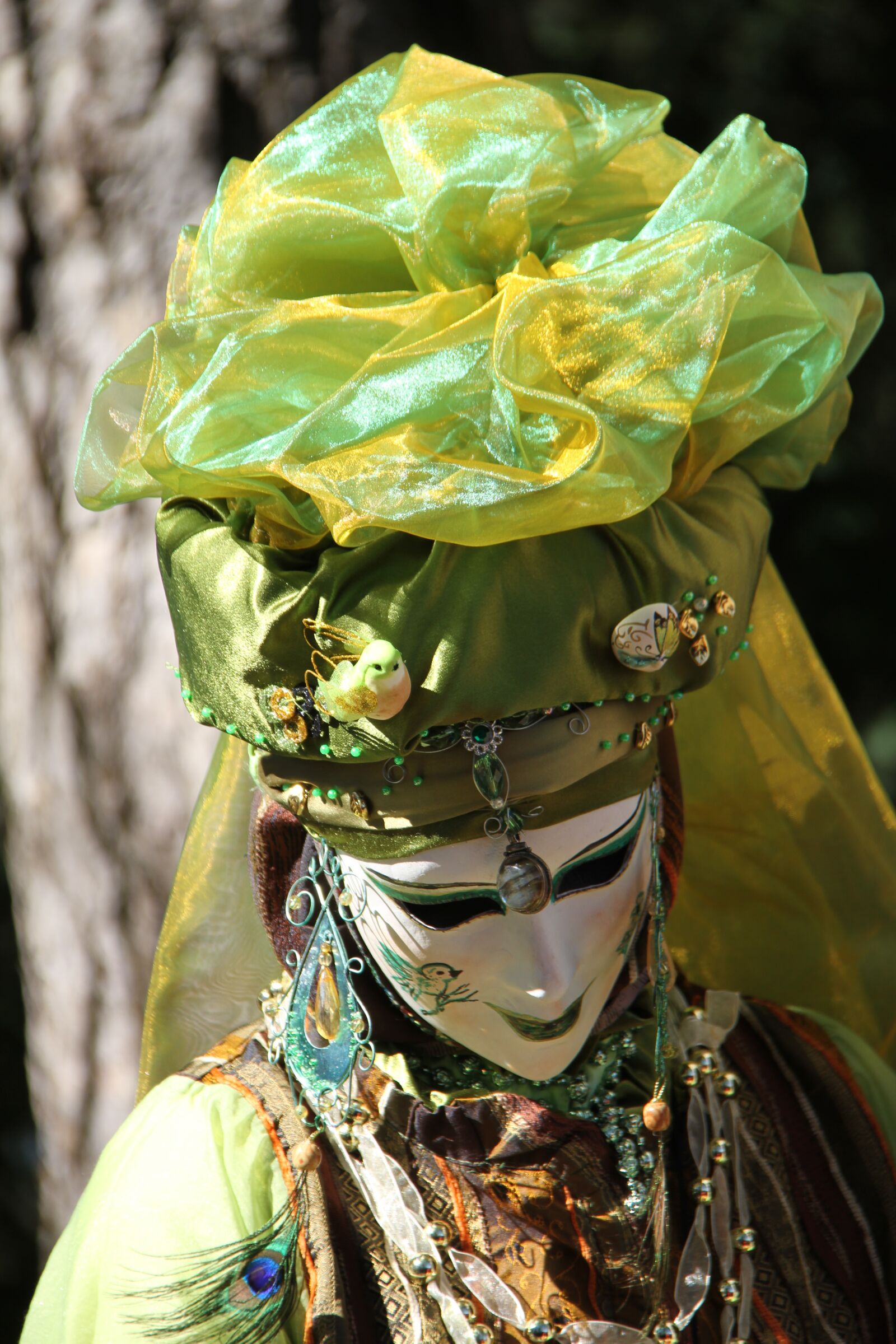 Canon EOS 7D sample photo. Carnival, mask, annecy photography